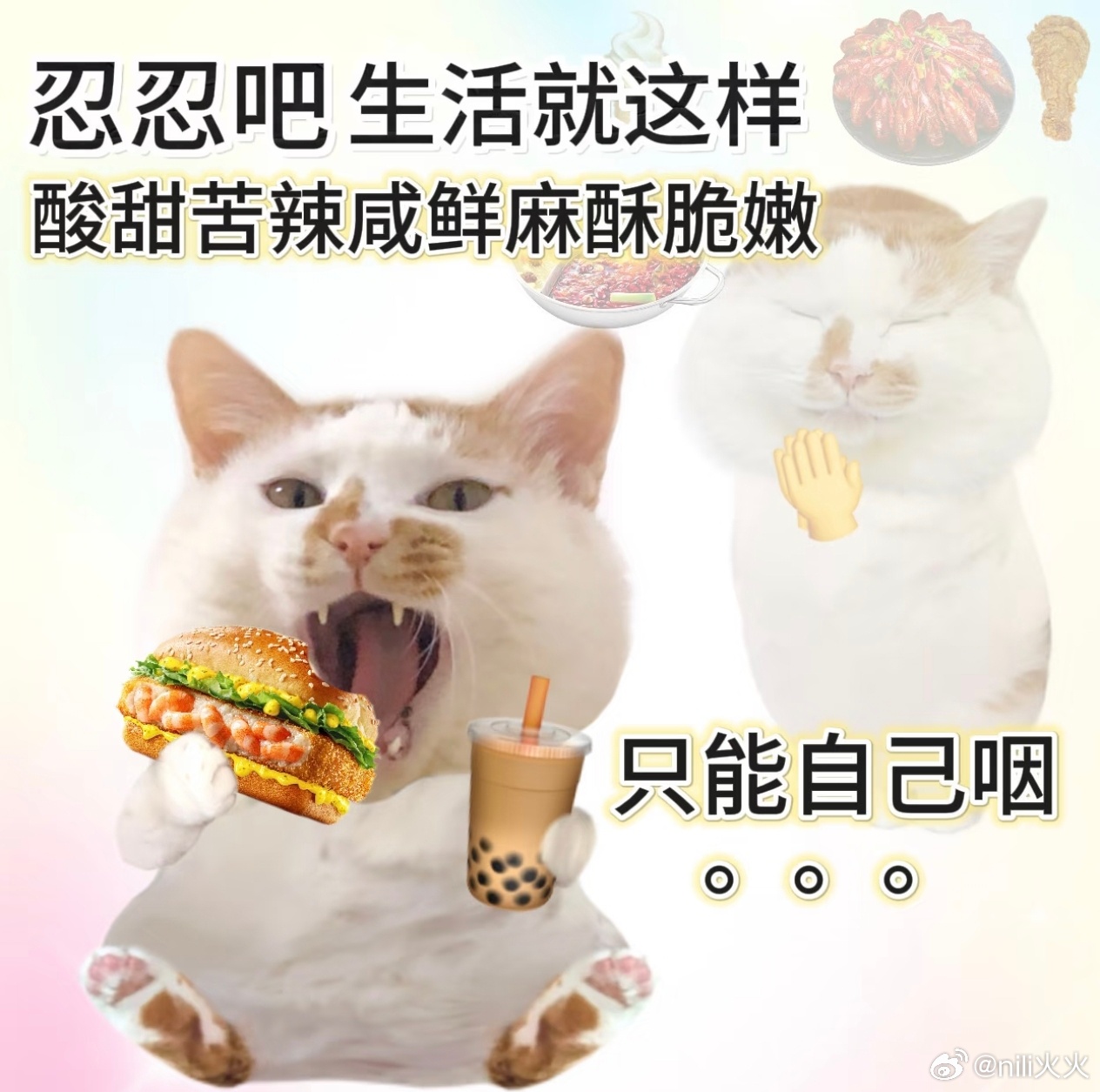 干饭！家人萌晚上吃的什么？我和这手工凉皮也是高山流水遇知音了，看到必吃 