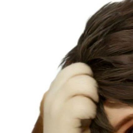 夏以昼 官设图🈶 