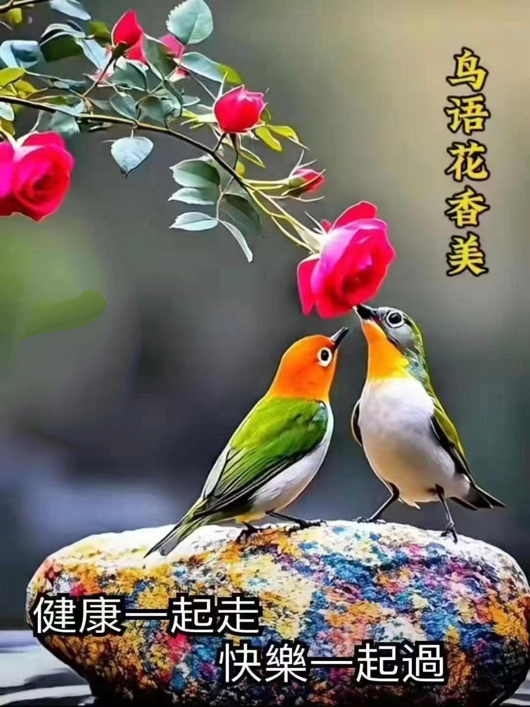 【健康养生】1）蒸、煮、炖是较好的烹饪方式，少用或不用煎炸、烧烤，炒菜也要少油少