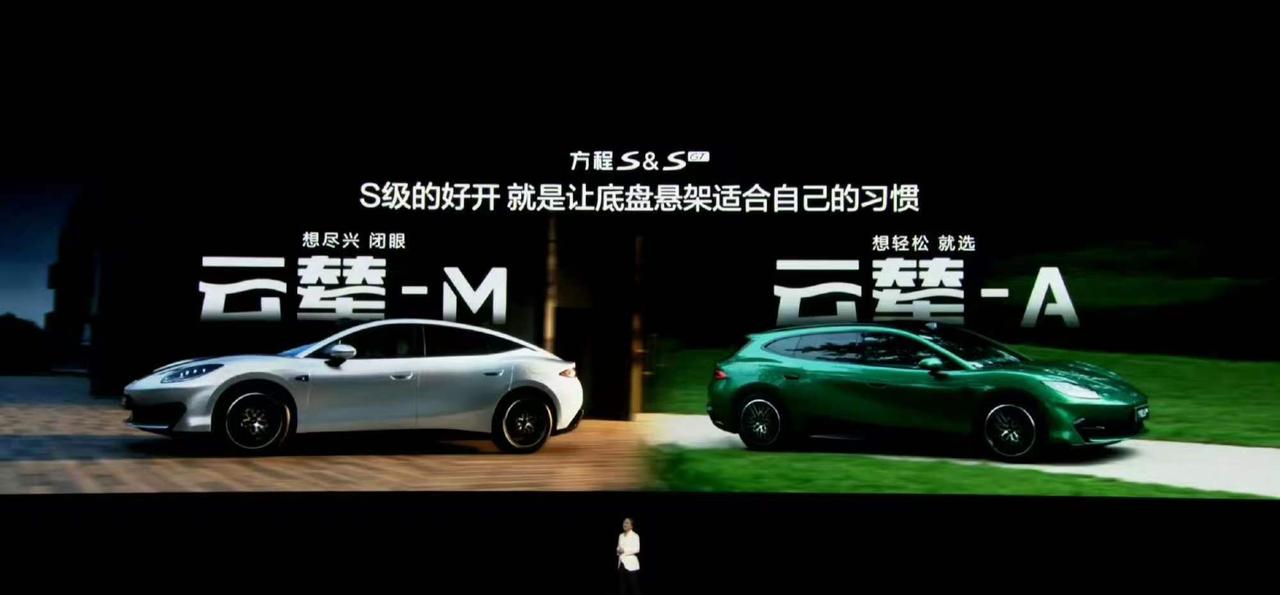 谁说方程豹只出SUV？轿跑这不也来了嘛！外观特好区分，S就是轿车，S GT就是猎
