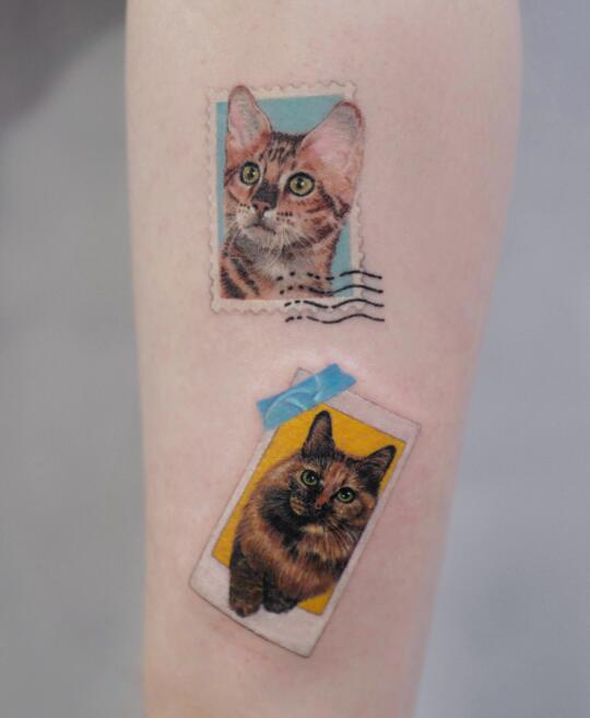 𝑴𝒆𝒐𝒘😻上半部分恢复后｜温哥华tattoo