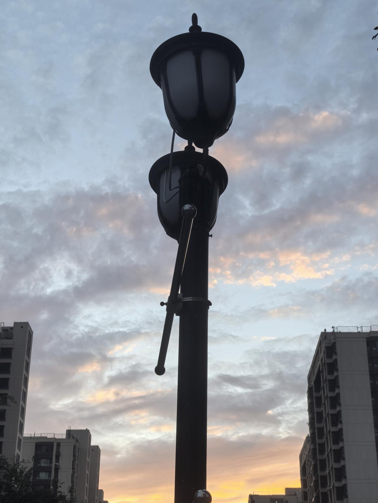 路灯在城市的天际线前显得格外醒目。