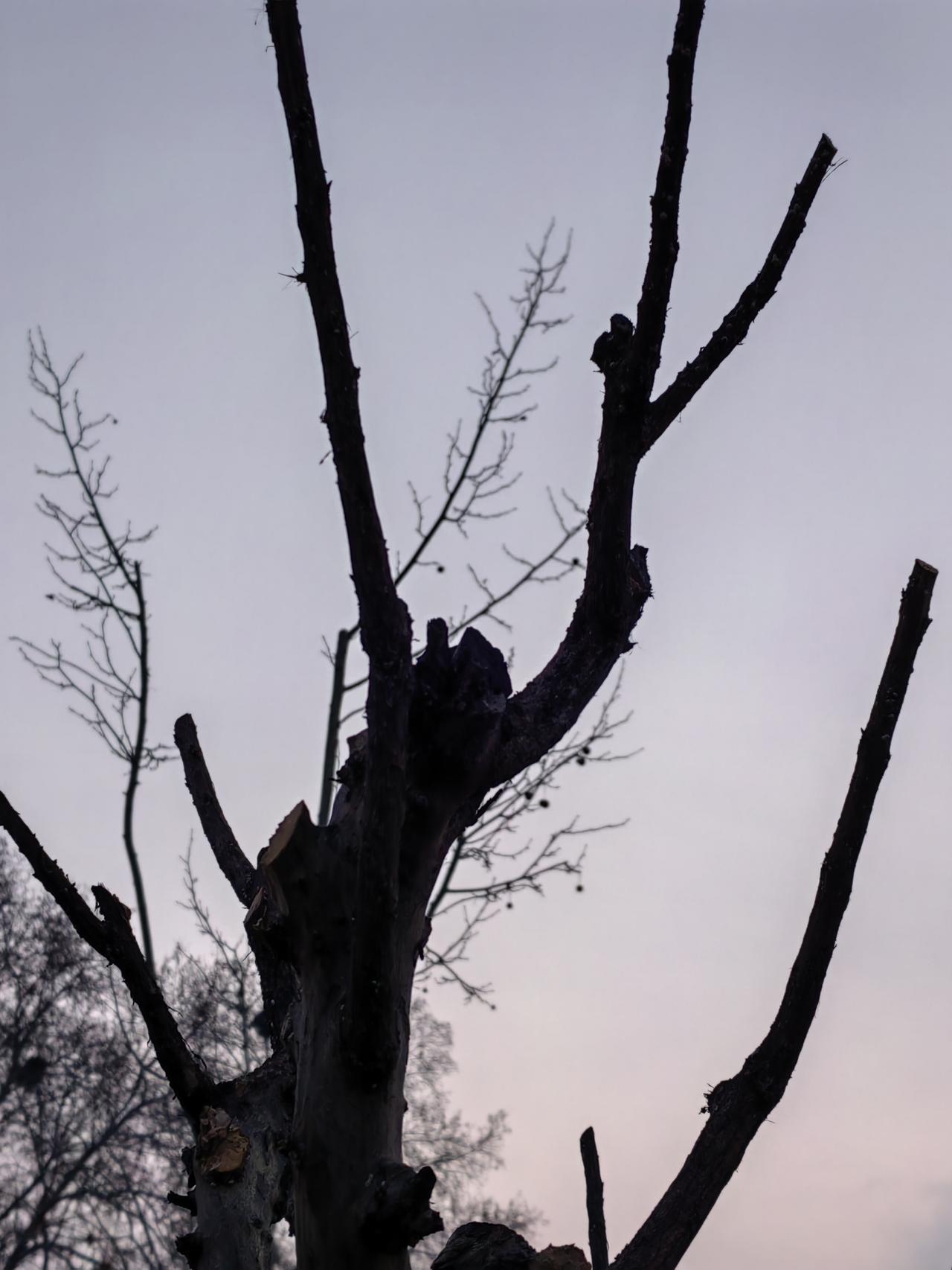 说个铁律：你能“不明不白”、不声不响地“抵”领导一回，领导又不敢因此“整”你，那