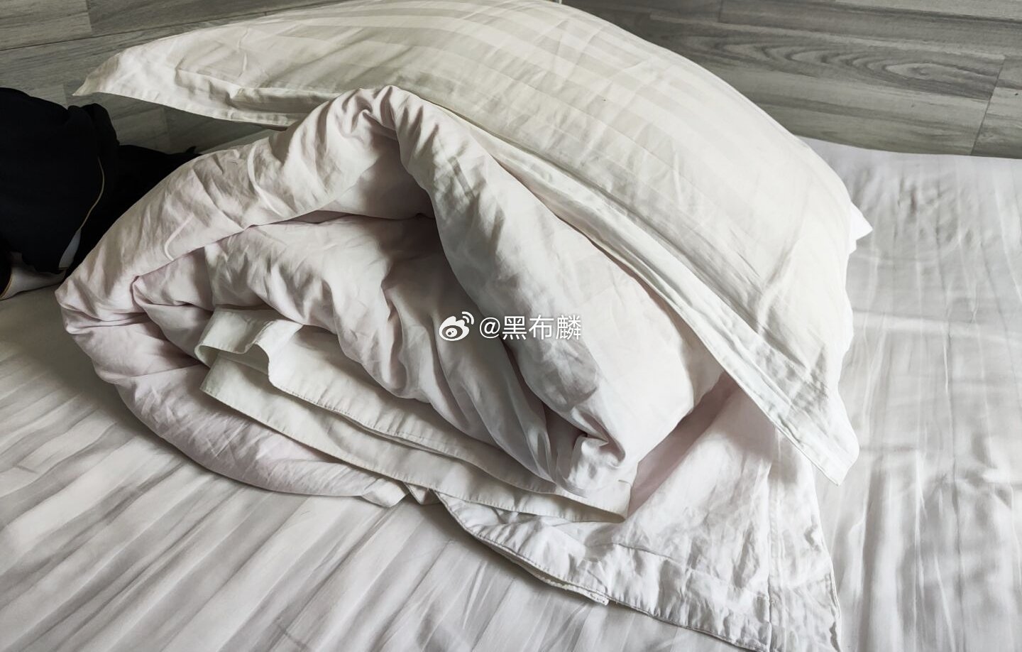分享图片 ​​​