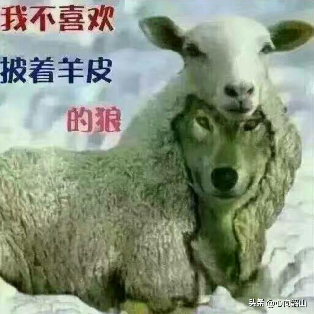 你觉得世上最大的恶是什么?
世上最大的恶是当年骑在人民头上的剥削阶级在得到宽容后