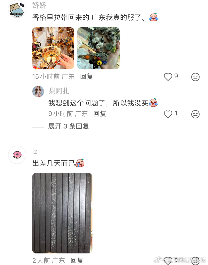 干辣椒冰箱贴在广东可以“养”出毛 