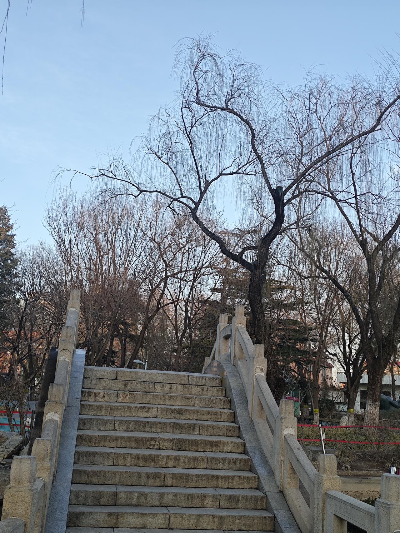 六十岁以后怎么和子女相处

  六十岁以后，能自理能力就不要和子女住在一起。你身