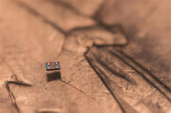 全球最小全自主可编程机器人诞生：接近细菌尺度 成本仅1美分 