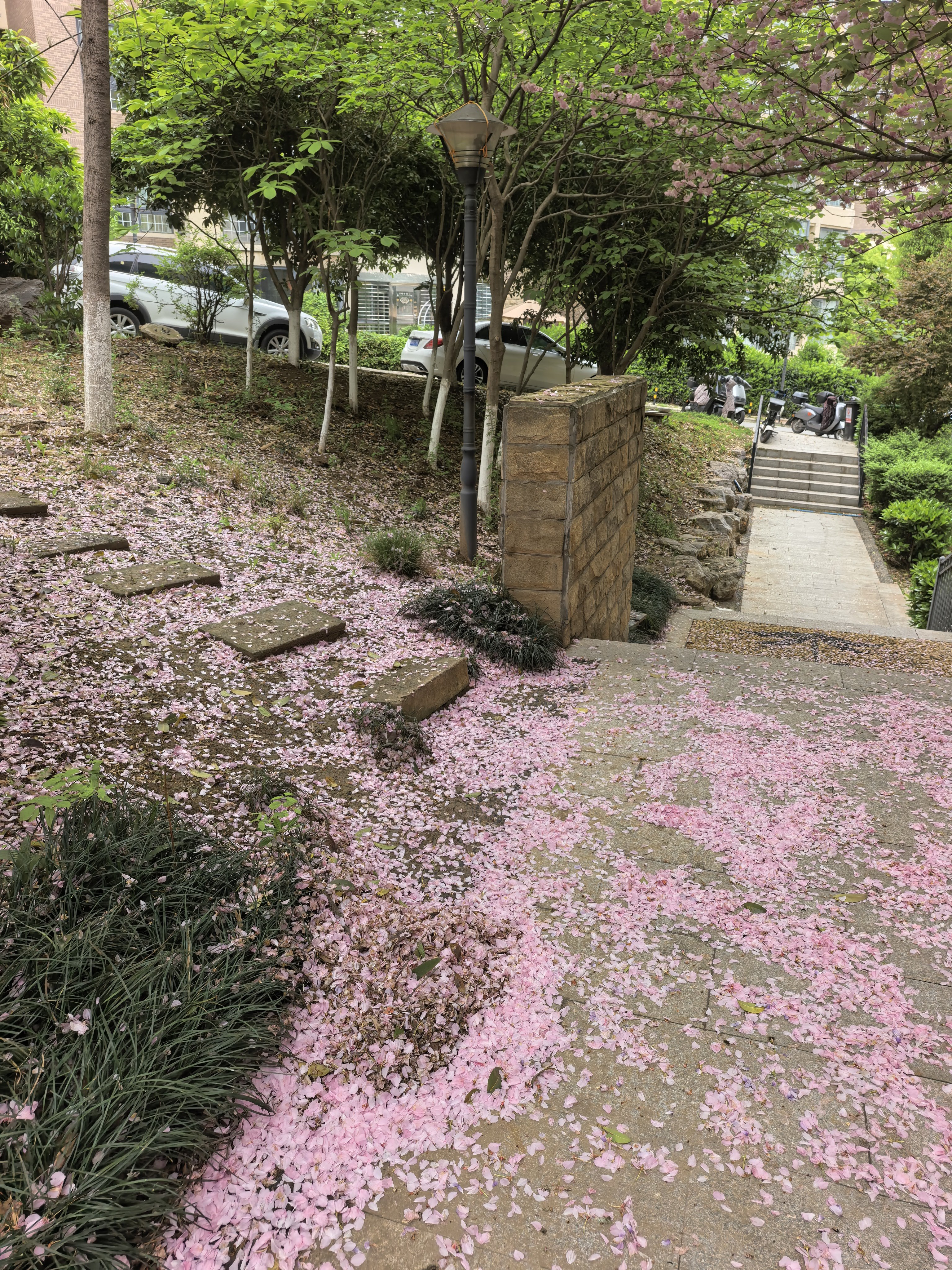 早安！这是昨天上班途中拍的，好美好美！人生很重要的意义是快乐，我们要每天努力让自