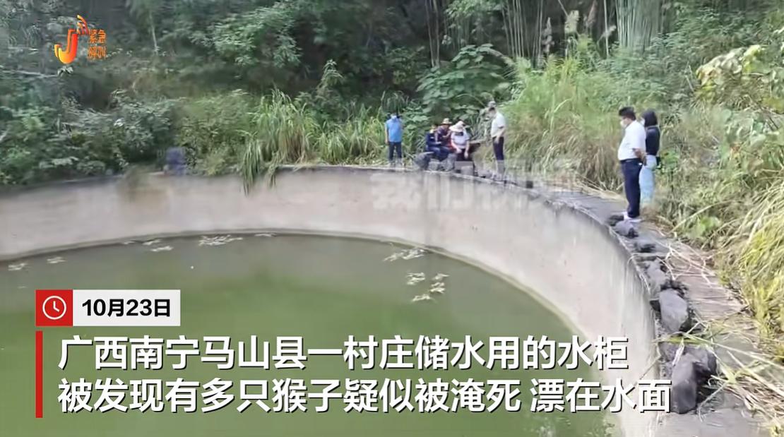 10 月 25 日央视网报道，广西南宁市马山县加方乡民治村，一处农业灌溉地头水柜