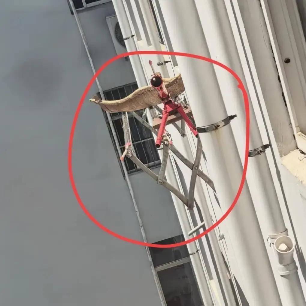 活久见！

就因为一点邻里纠纷，邻居的做法把人吓出一身冷汗
 
就因为发生了一点
