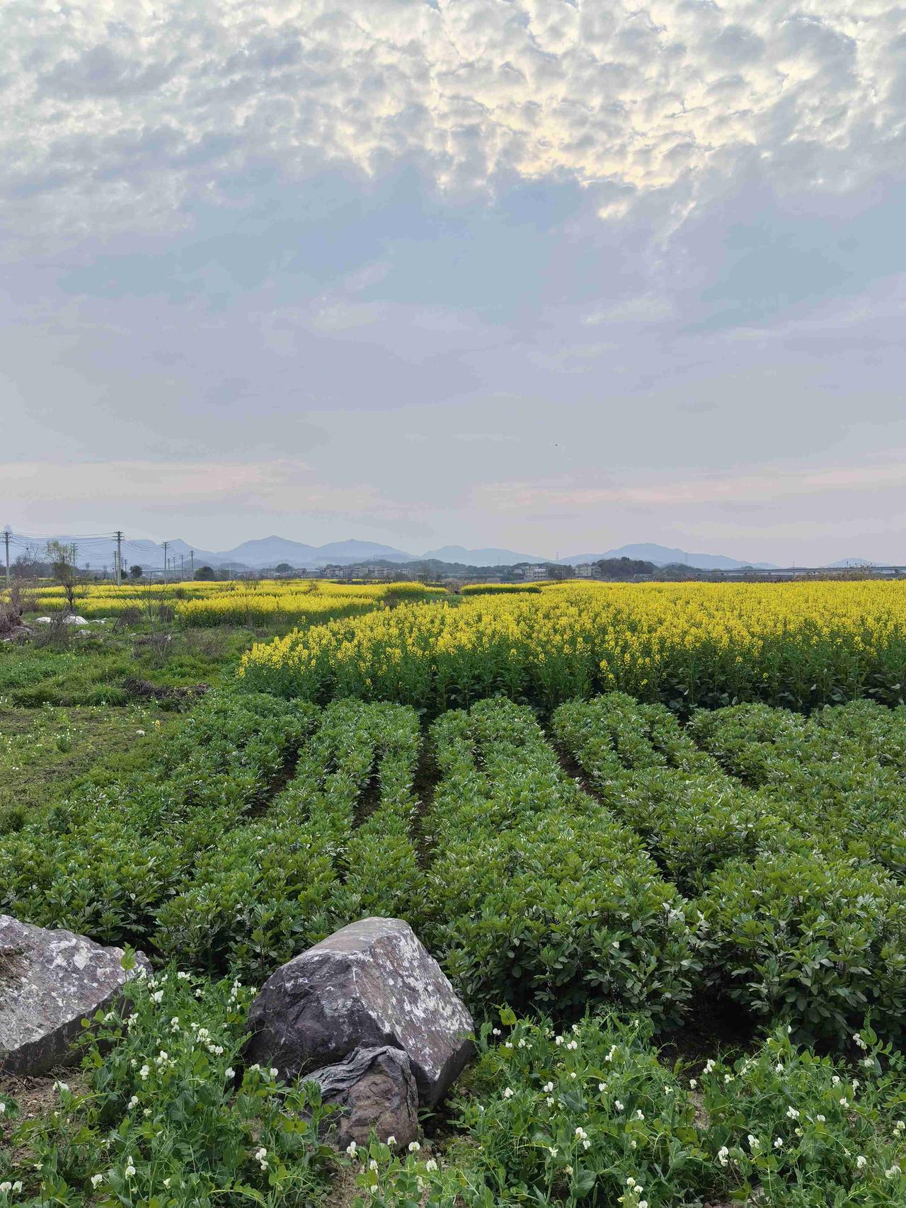 带定位晒今日生活 周末就是快乐开关！历经几小时颠簸，我终于回到家乡。今天阳光正好