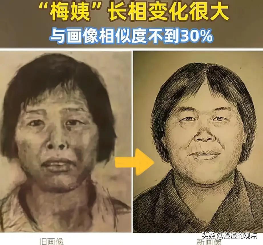 躲了20年的梅姨落网！
同居3年男友竟不知她真名，反侦查能力堪比特种兵。

我觉