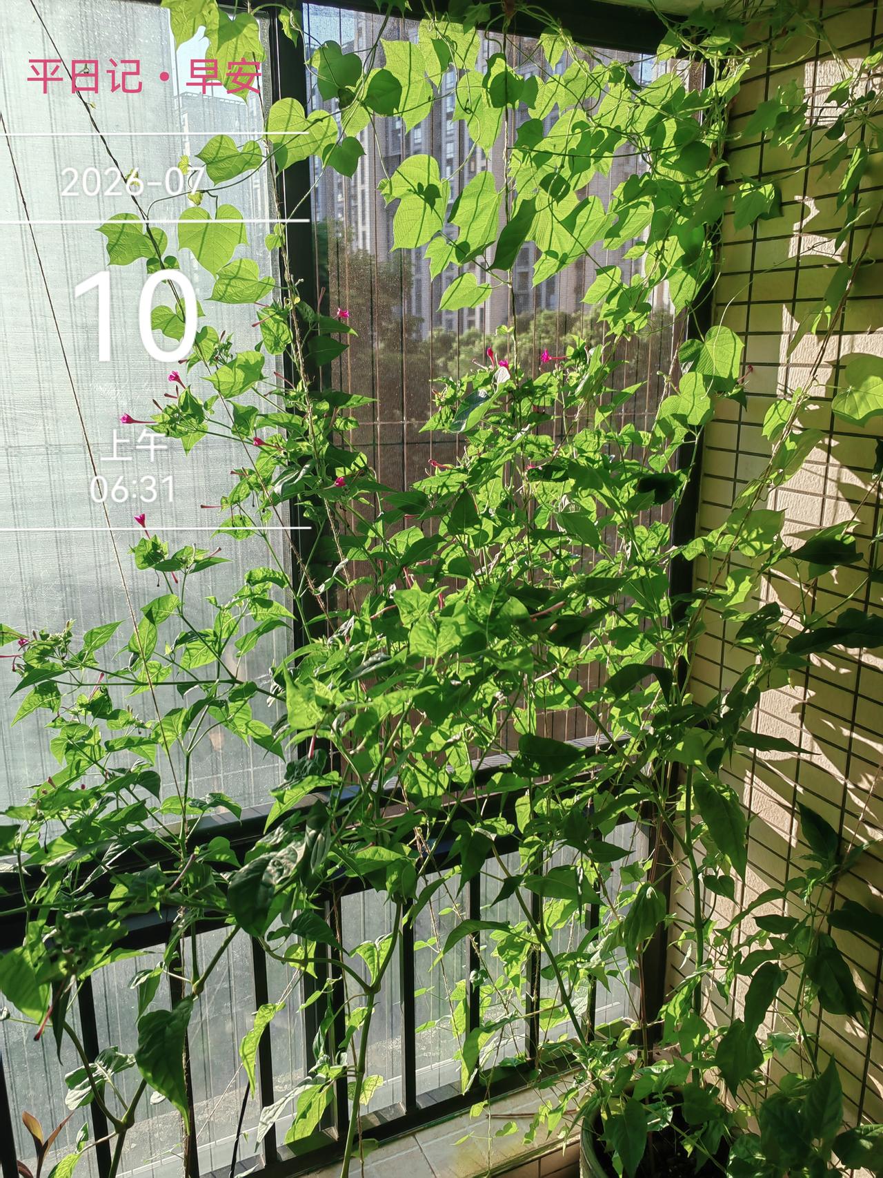平日记•早安

《又是愉快的一天》：

我们创造自己的生活，同时生活定义我们：以