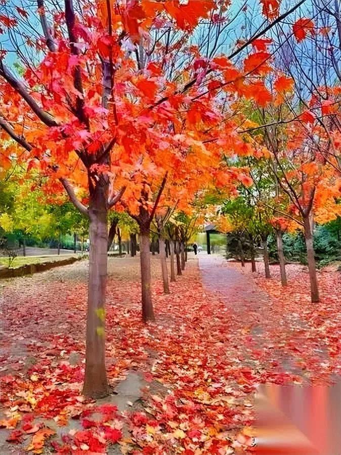 别低估善良的力量！

这3个真相越早懂越好

你发现没？那些说话算数的人，总能在