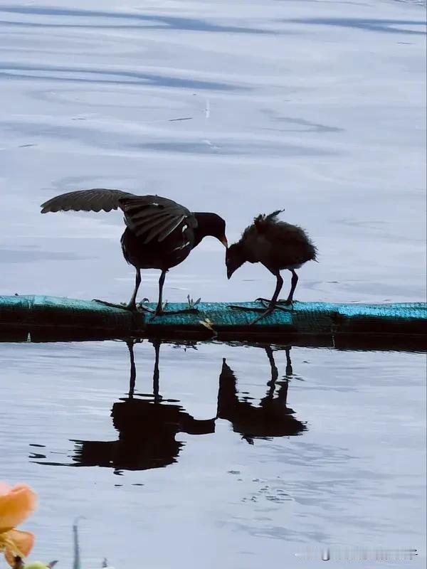 我有过跟别人很默契的时候，那种感觉就像心有灵犀一点通。小学时，我和同伴放学回家，