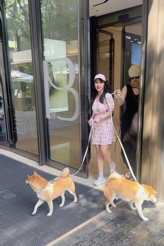 带网红柴柴出街