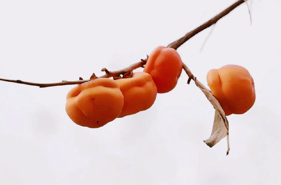 一个人想要什么，
选择怎样的生活，
想要什么样的结果，
自己心里是有数的。

谁