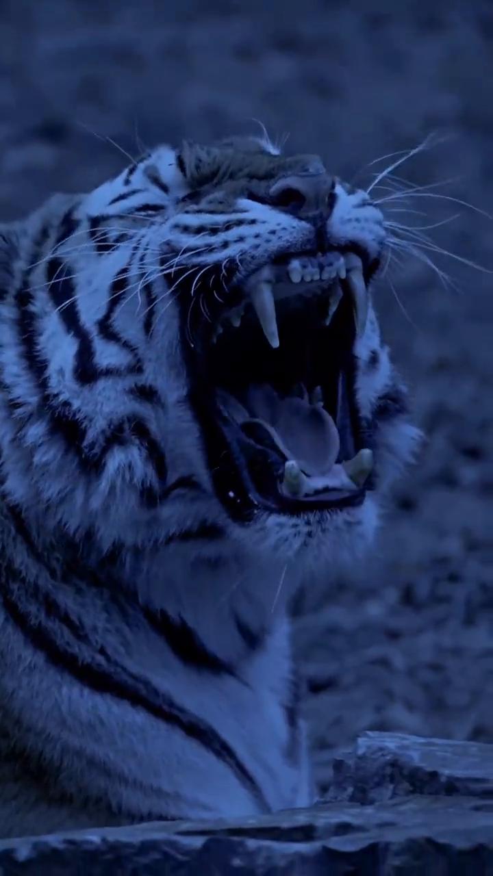 啊啊啊啊，啊！