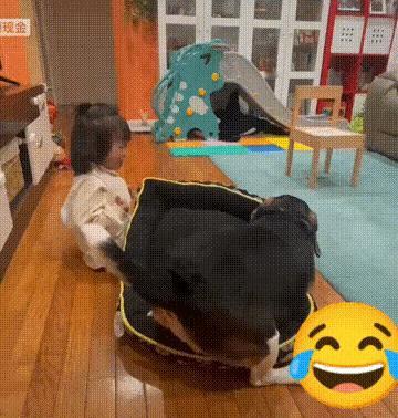 上哪里说理去啊？狗窝都会被抢了去。