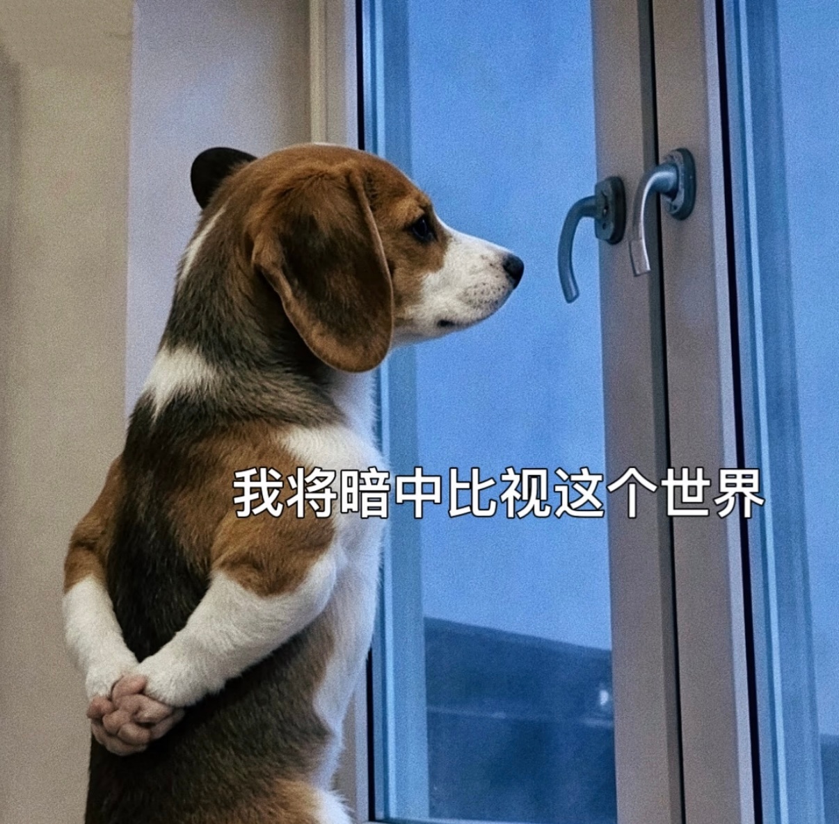 此后态度： 