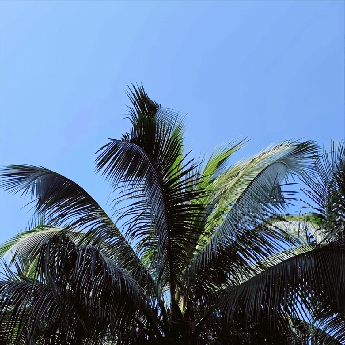 重庆：同一天党纪政务处分同一单位2人
 
12月24日晚上7:00，重庆：党纪政