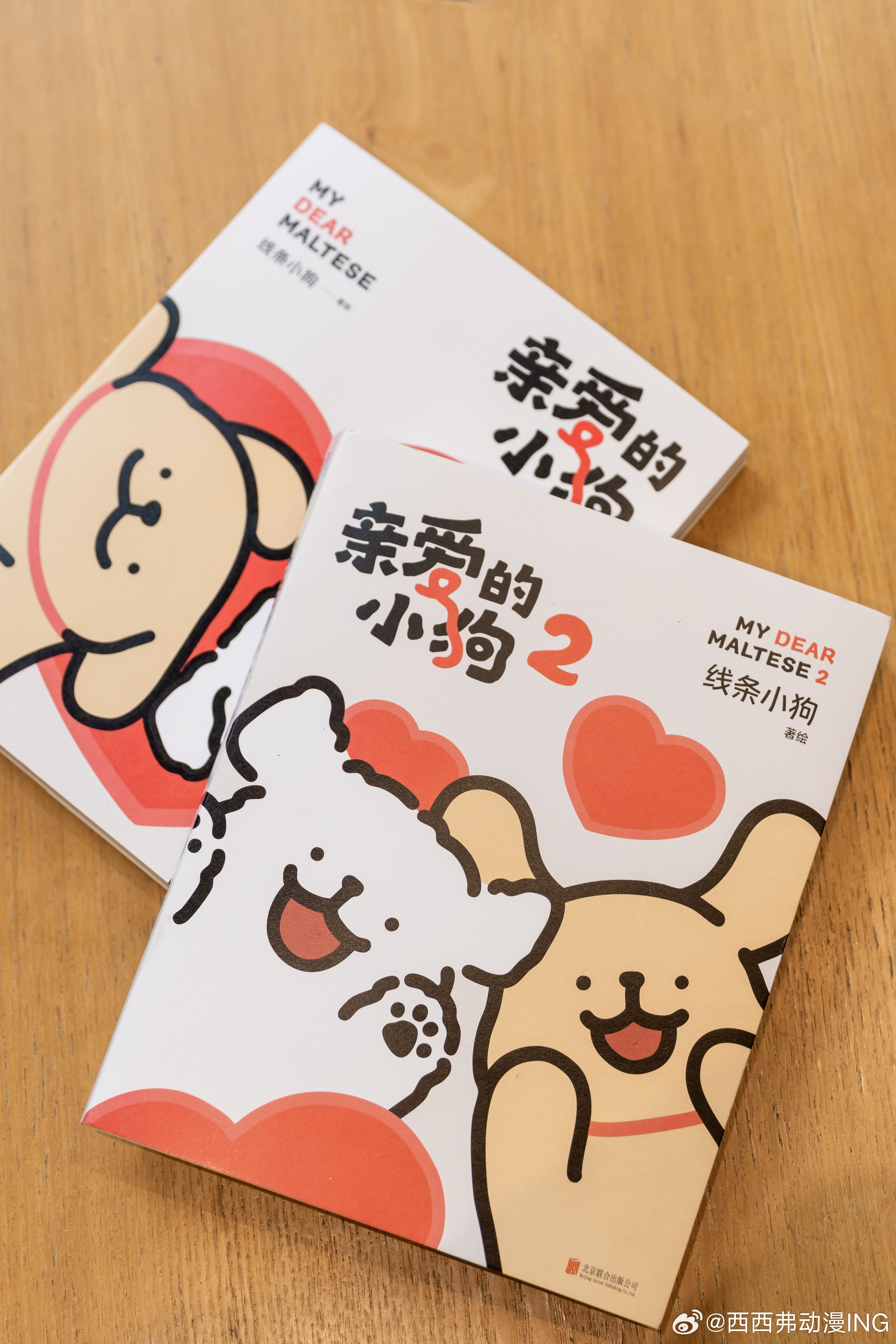 线条小狗 大家最近有没有在西西弗书店抓到马尔济斯和小金毛？！ㅤ线条小狗官方漫画续