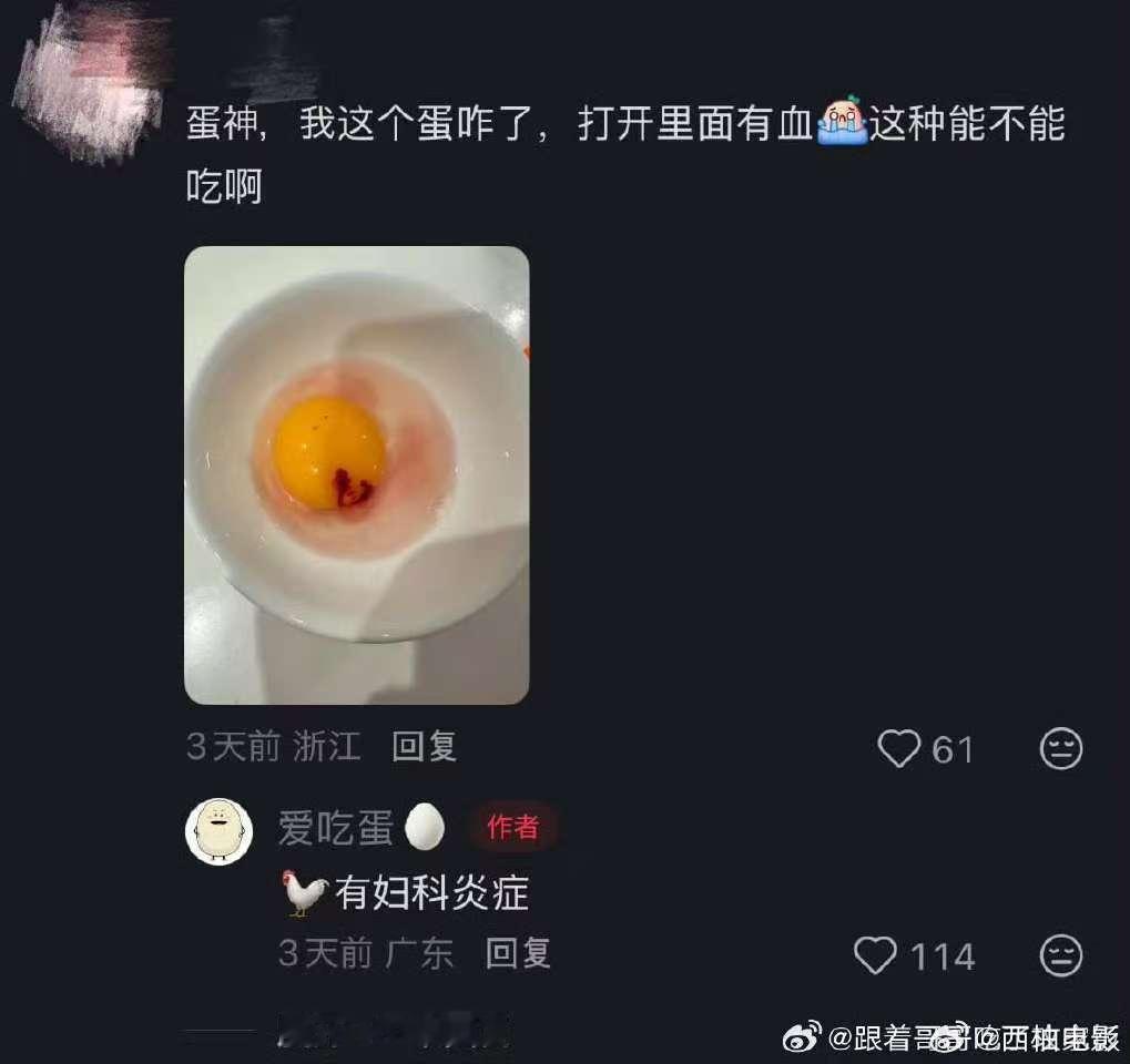 爱吃蛋迷惑发言煮个鸡蛋真把自己当鸡蛋之父了爱吃蛋迷惑发言，好想把他下面那两个蛋割