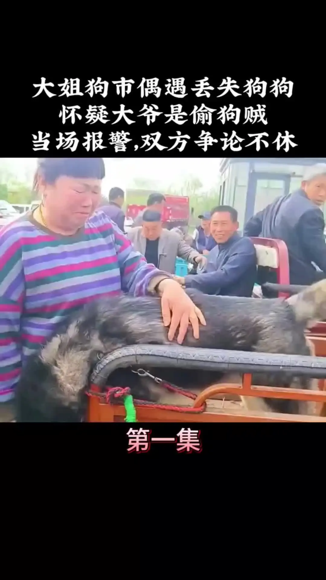 动物世界 万物皆有灵性 我的观影报告 内容启发搜索