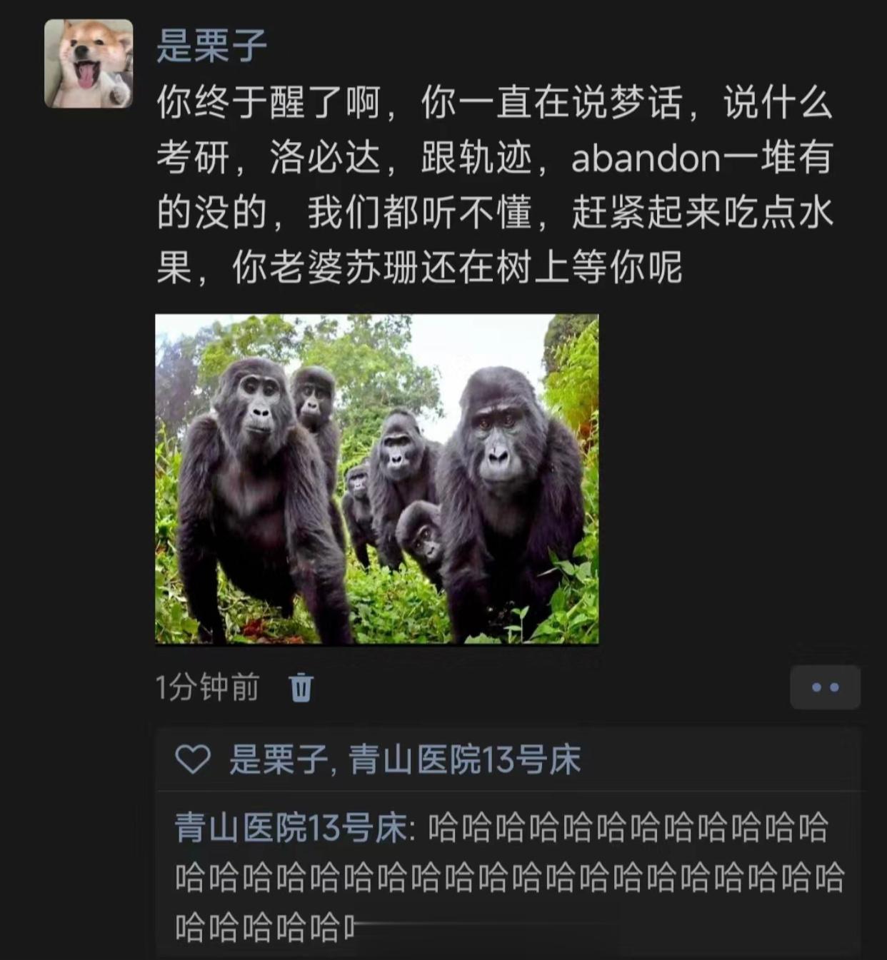 哈哈哈哈哈哈哈哈哈哈哈哈哈 ​​​