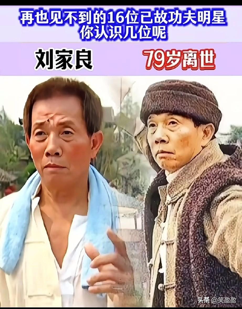 再也见不到的16位已故功夫明星，
个个都令人怀念，你还记得他们吗？你最喜欢哪一位