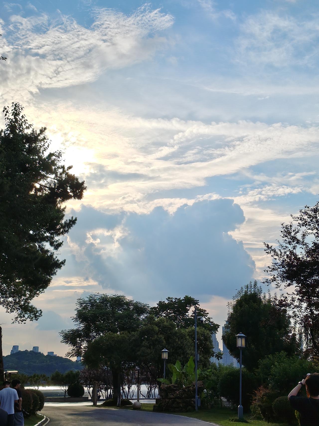 公园里的风景真美，云朵像棉花糖。