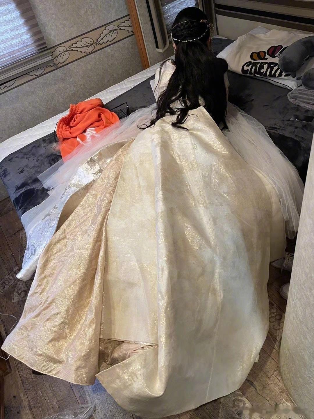 想念我们兰花猪苍兰诀