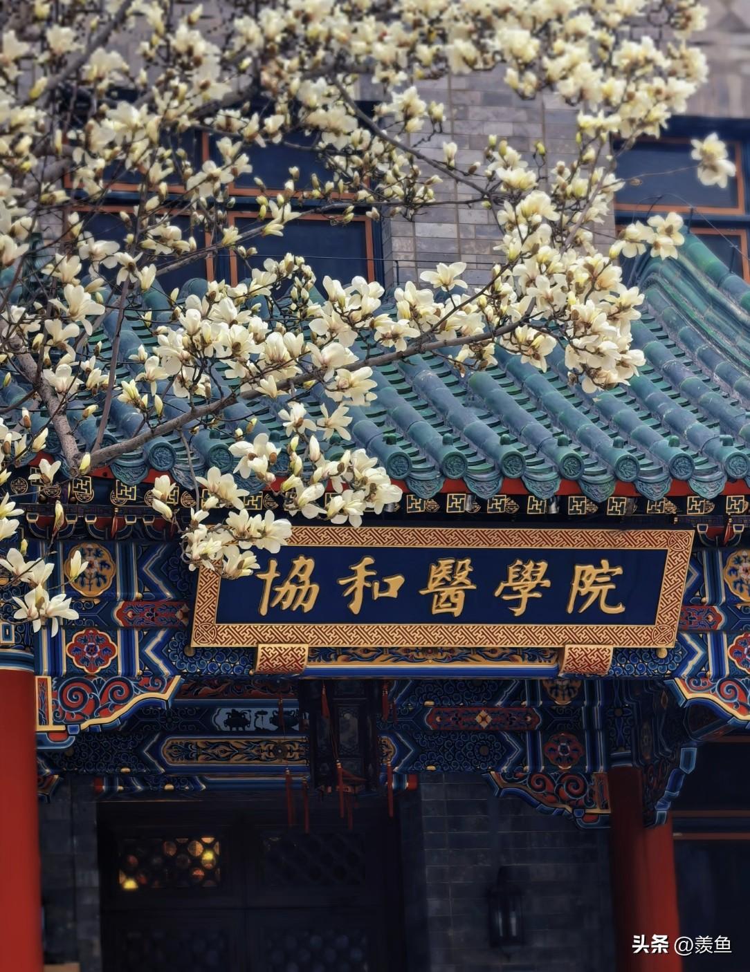 我姐说，以后坚决不让孩子再去读医！

现在的医患关系，真是让人看得心寒。

有些
