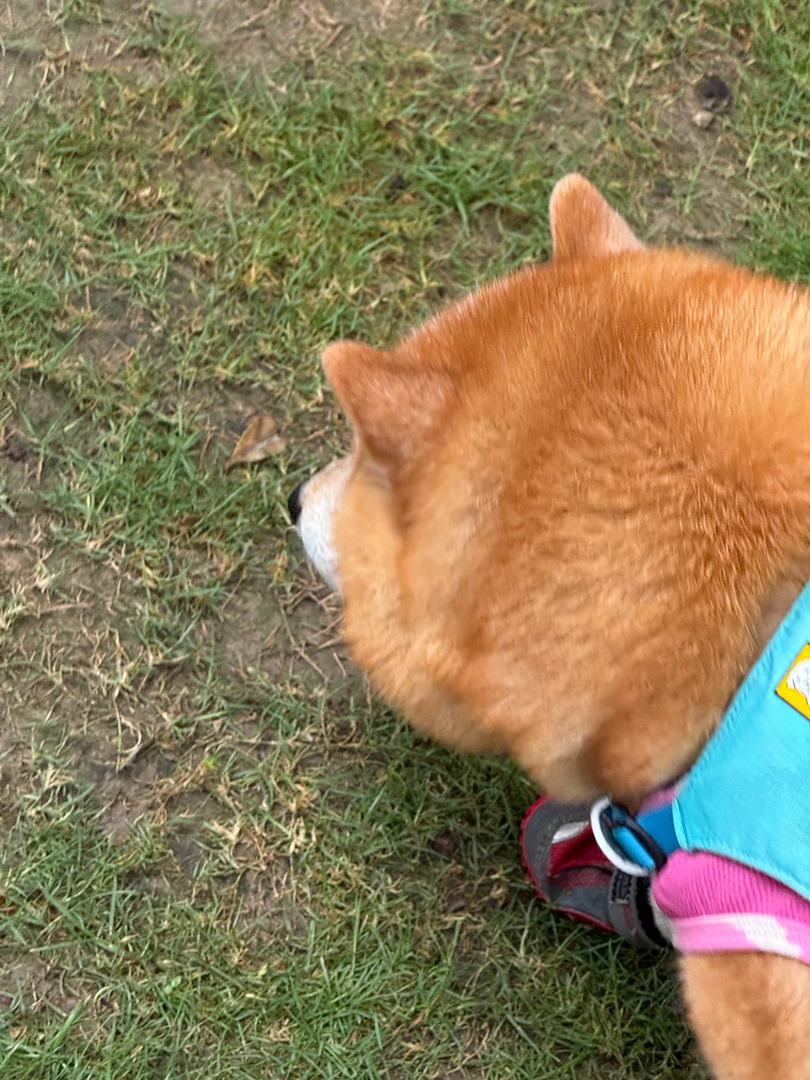 随手拍
