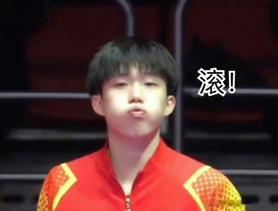 王楚钦渐渐长成了马龙的模样王楚钦是王楚钦，王楚钦从小就存在，王楚钦现在还是王楚钦