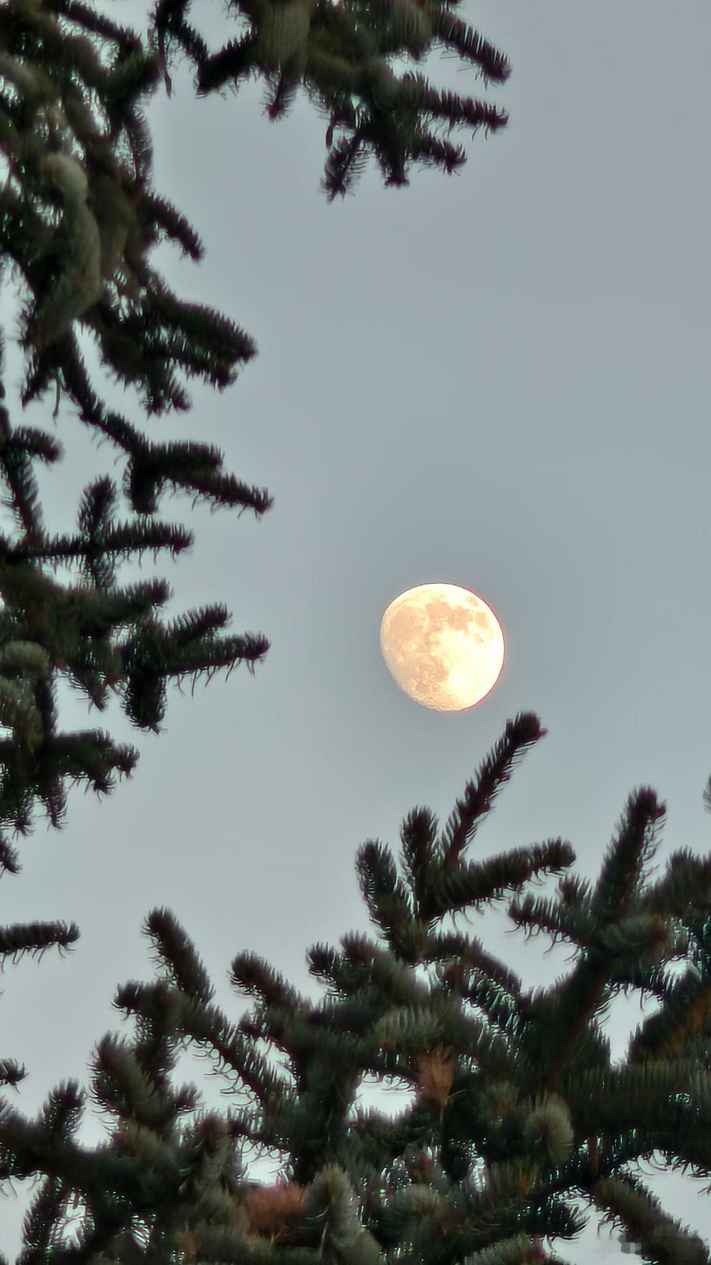 周三早 新的一天，别等风来，自己做风。把犹豫丢在昨天，把行动交给今天。每一次坚持