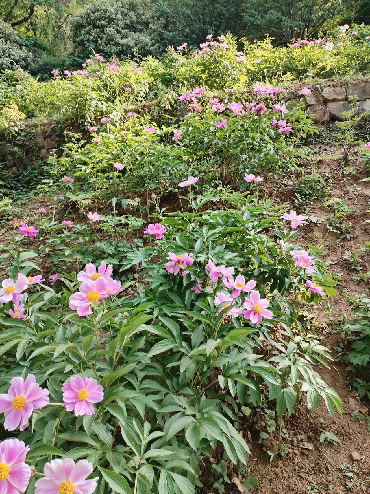 面对错误时不推诿、与人相处时不虚伪。人与人之间能相处多久，不是靠小聪明，当真诚换