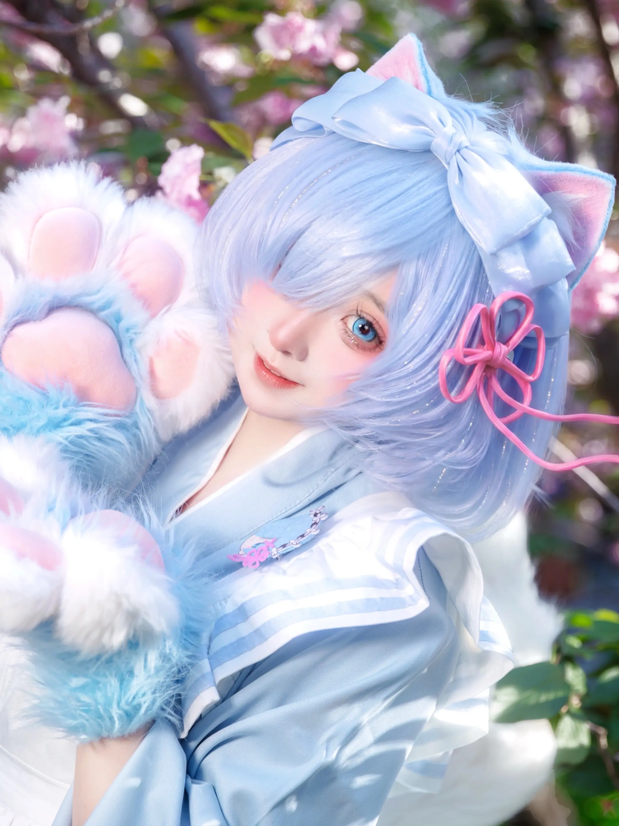 喵喵咪咪的蕾姆猫猫🐈💙。📷