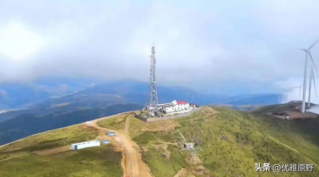 i人的梦中情岗出现了！你会去应聘吗？

        今天刷到一条新闻。在海拔