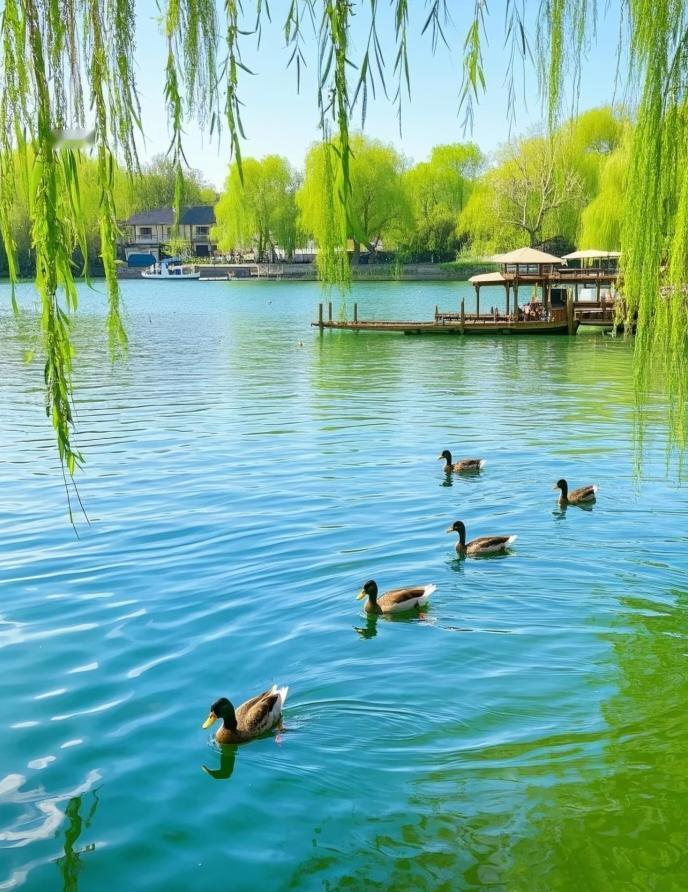 晒图大赛摄影图片：春天来了