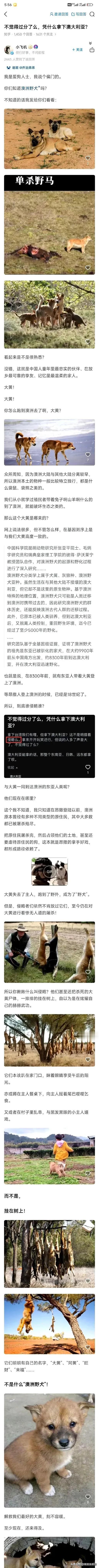 既然澳大利亚的野犬就是我们的中华田园犬，那么4000年前带着中华田园犬跨海渡洋去