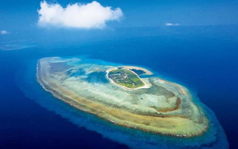 中国出现了一个怪相，我们现在变得比以往都要强大，但是美国欺负我们，日本欺负我们，