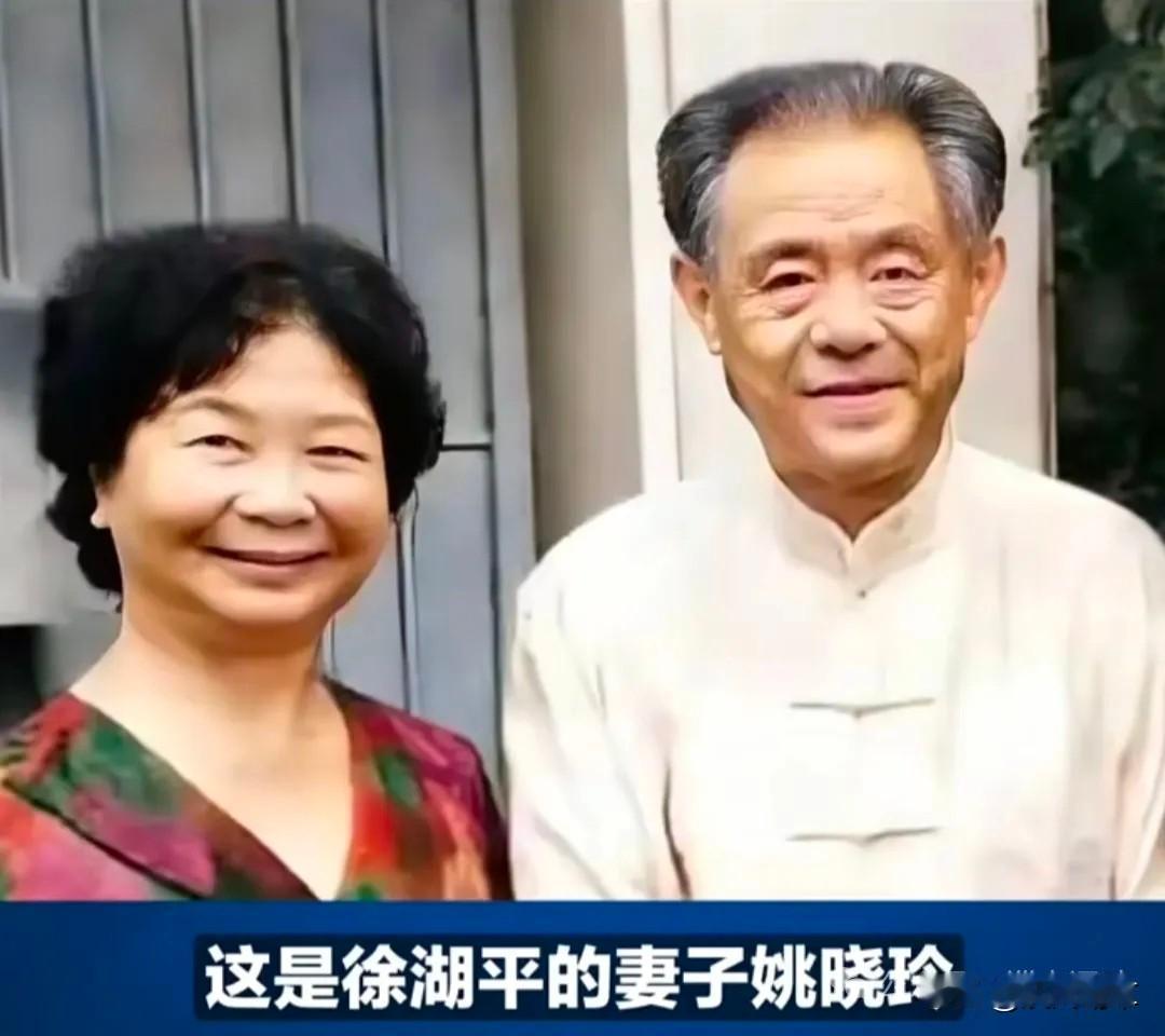徐湖平和他老婆姚晓玲背后的姚氏家族，本质上就是相互利用！
姚氏家族帮徐湖平上位，