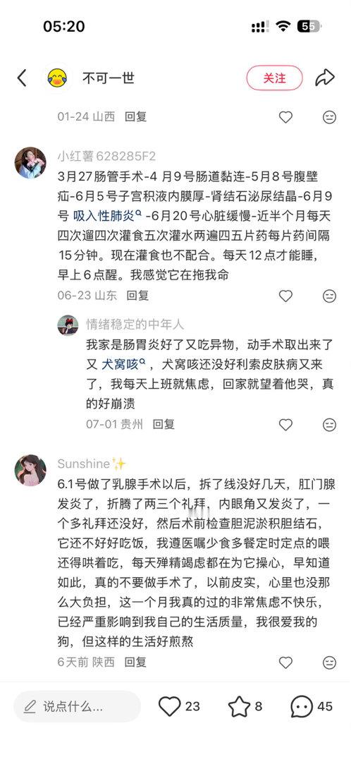 照顾老年病犬，刷到很多感同身受的帖子，并且说实话，这只是个开始而已，照顾到一年的