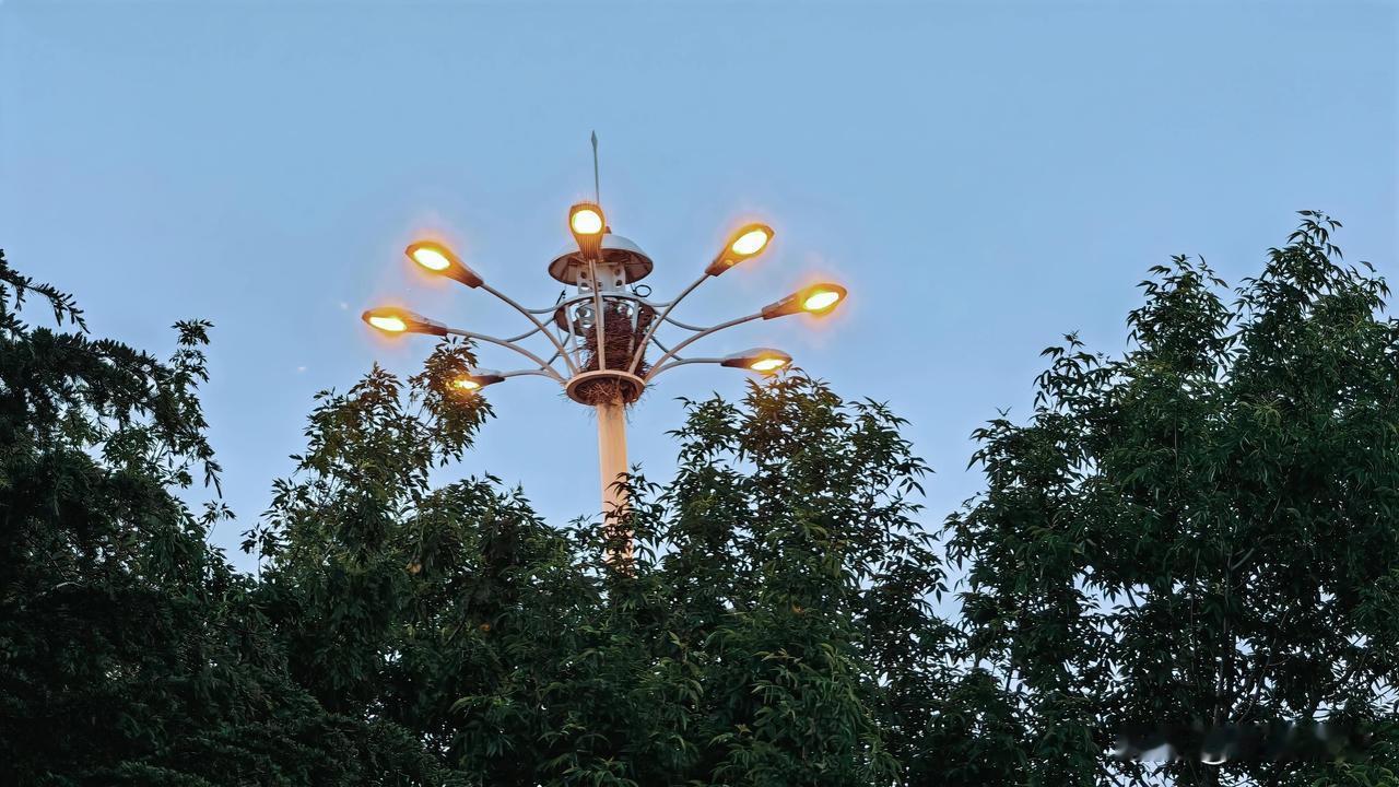 生活中风景公园里夜间的路灯