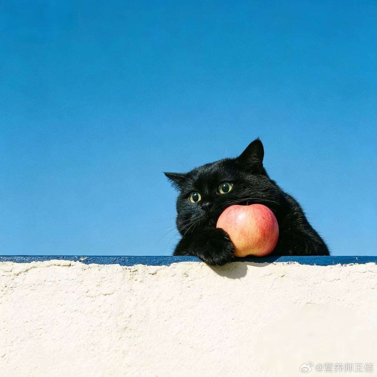 有没有人好好吃饭 呀~来给我检查一下~今天你吃了啥,给我看看