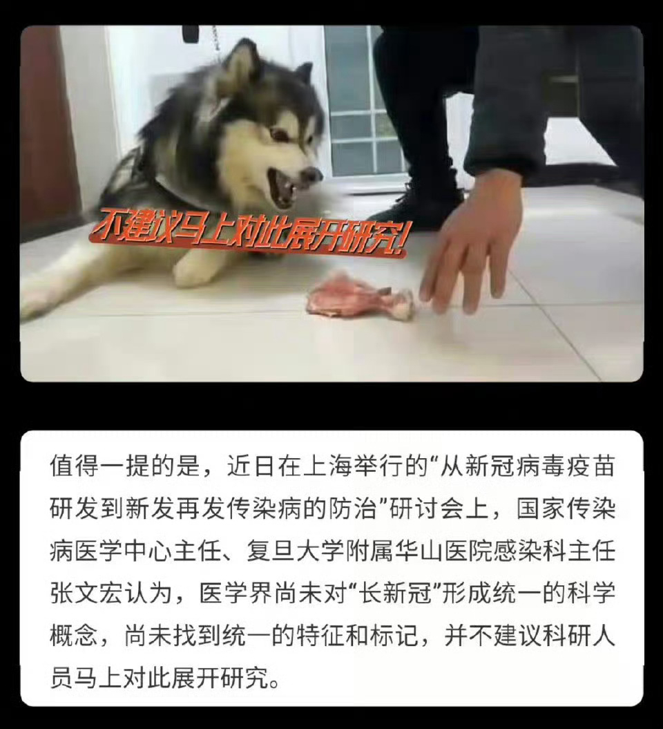 沪上半仙真牛逼，向全国展示了什么叫：方向错了，知识越多越反动。疫情严重的时候，天