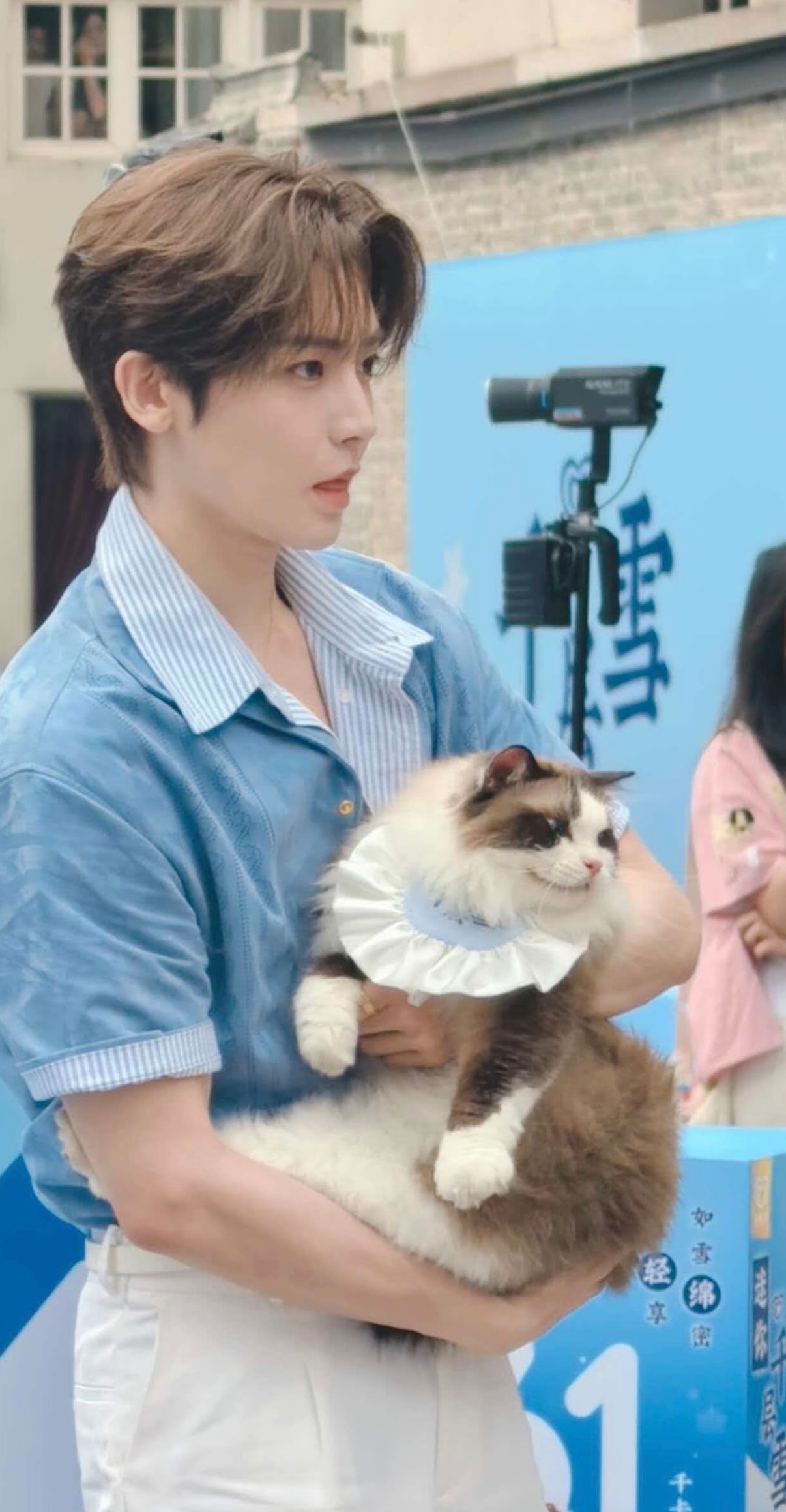 萌萌的两只🐱 