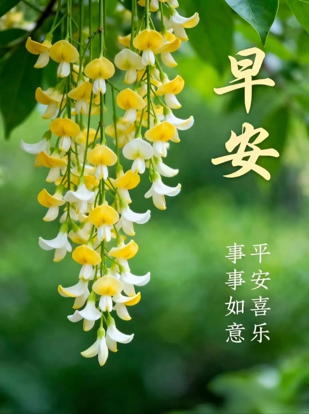 今天是7月的最后一天。回望蓬勃向上的7月，繁花映日，草木葱茏，山河壮美，万物竞秀